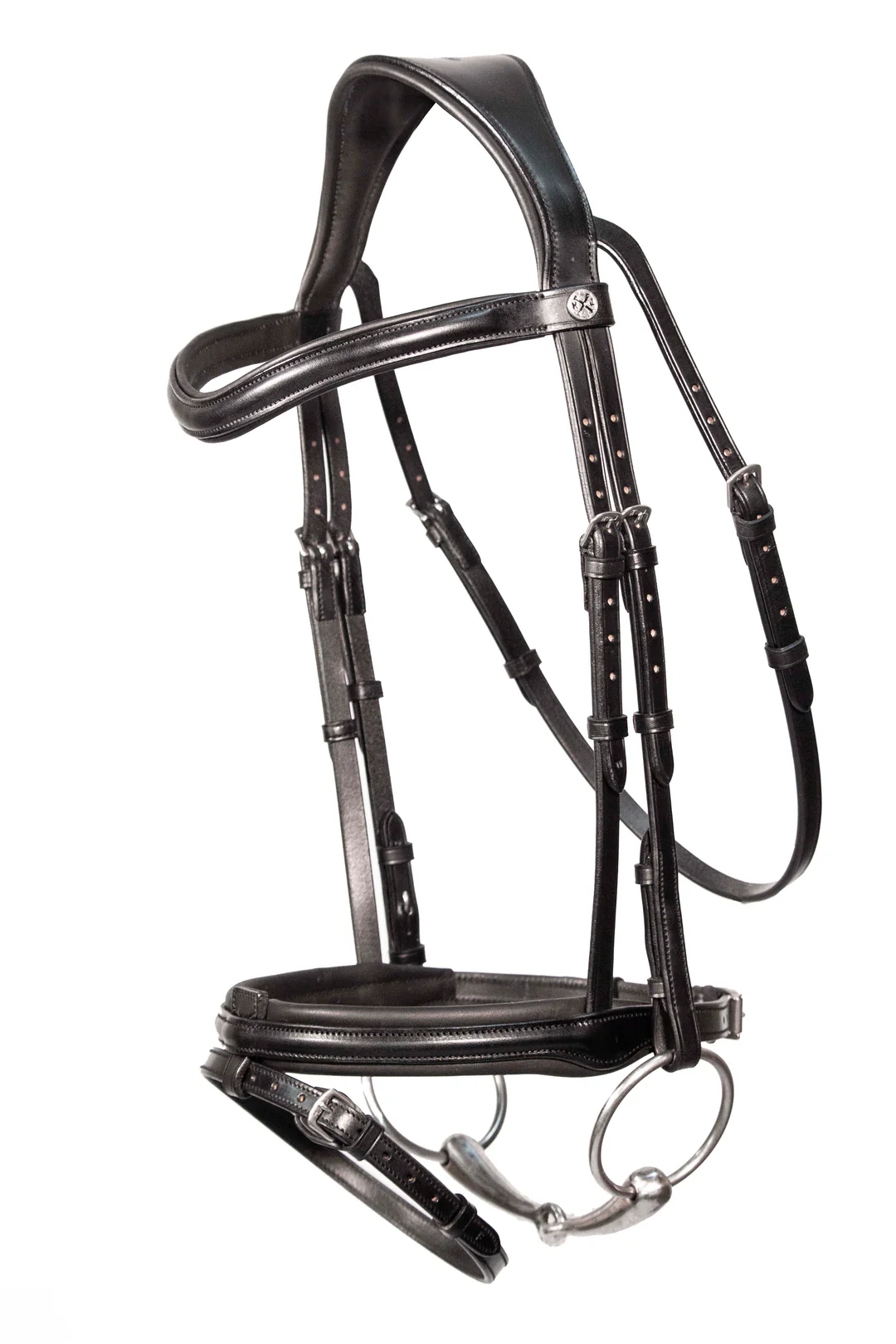 Flash Bridle 4
