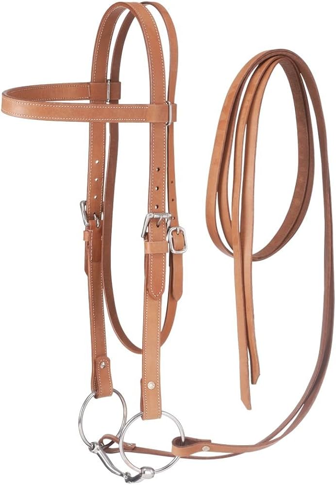 Training Bridles 4